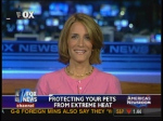 Picture of Louise Murray