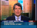 Picture of Peter Schaffer